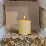 Stema 1 Tripití
